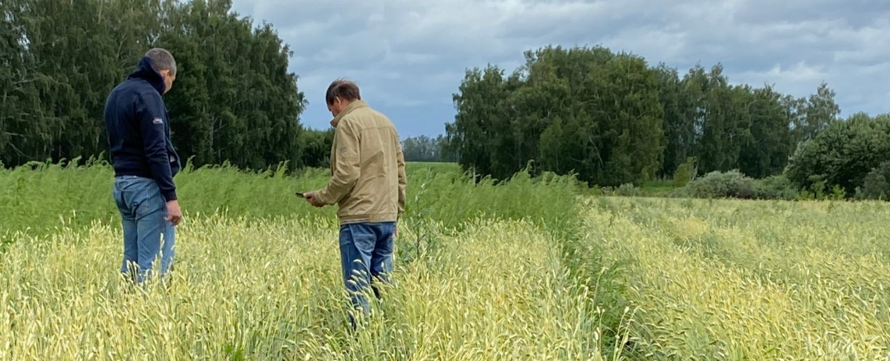 СОТРУДНИКИ ОТДЕЛА БИОЛОГИЧЕСКИХ ИССЛЕДОВАНИЙ АНО "АИЦ" ПОСЕТИЛИ ИНСТИТУТ СЕМЕНОВОДСТВА И АГРОТЕХНОЛОГИЙ