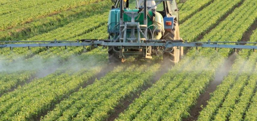 ПРИРОДНЫЕ ОПЫЛИТЕЛИ И ПЕСТИЦИДЫ: НОВЫЕ ИССЛЕДОВАНИЯ